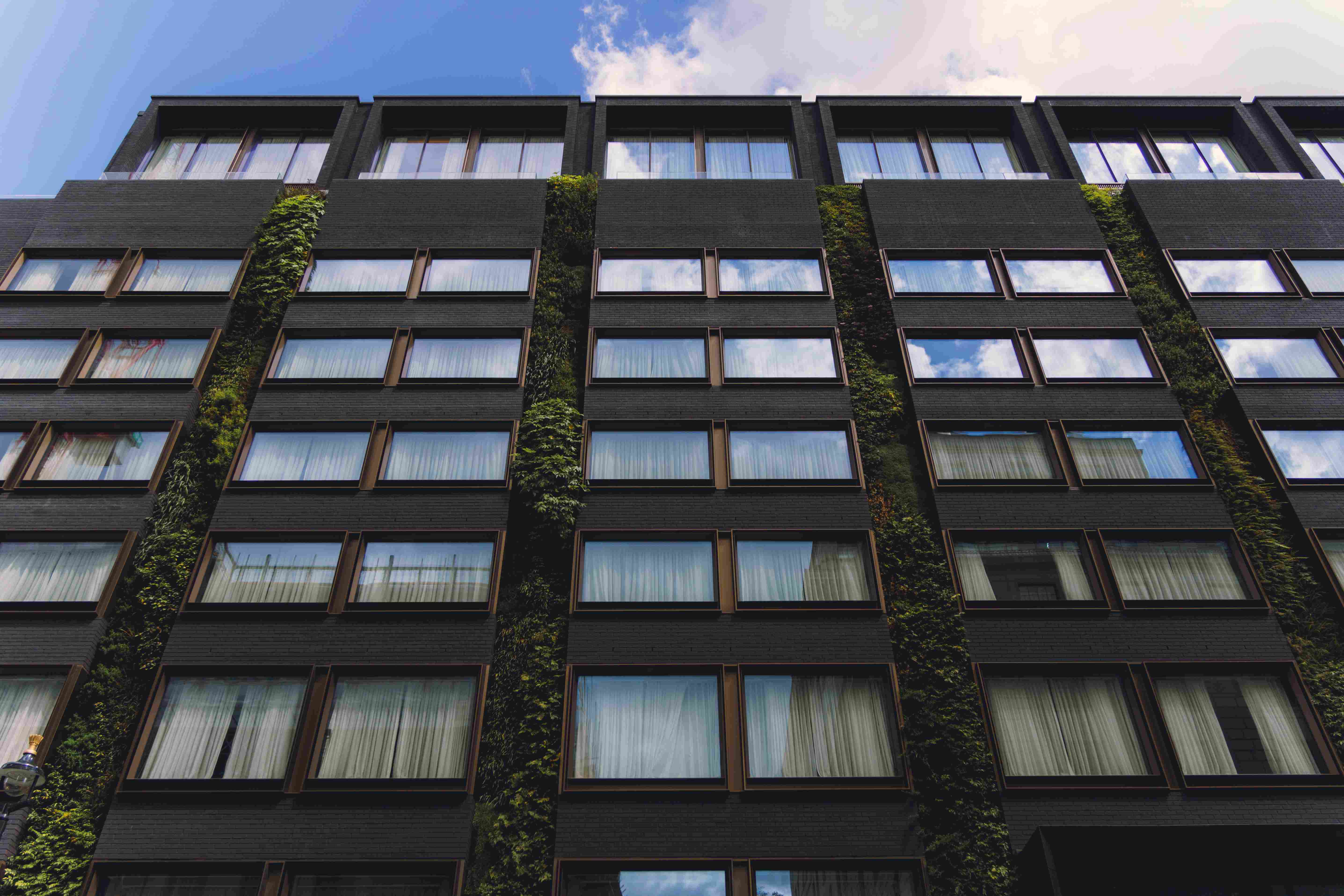 Modern Building With Foliage